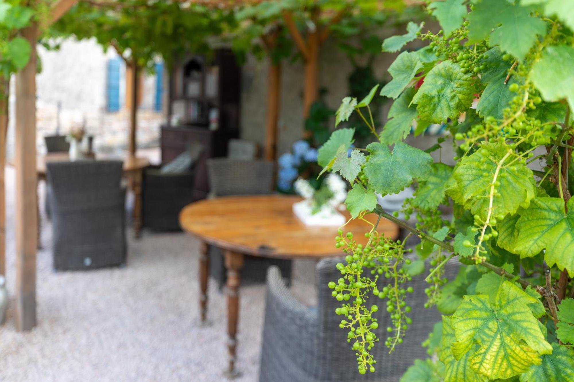 Domaine La Pomme De Pin Bed & Breakfast Louroux-de-Beaune ภายนอก รูปภาพ